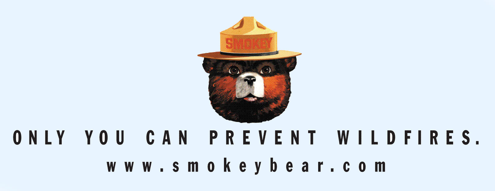 Smokey.jpg