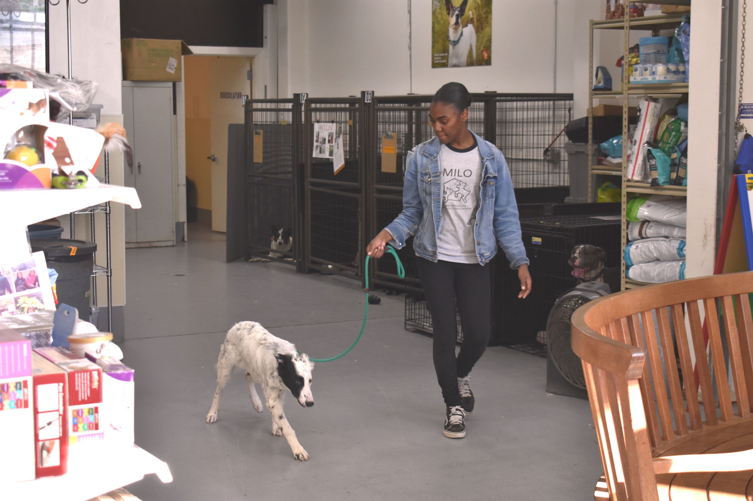 Ajunee Mitchell worked at Pinole Paws Pet Grooming