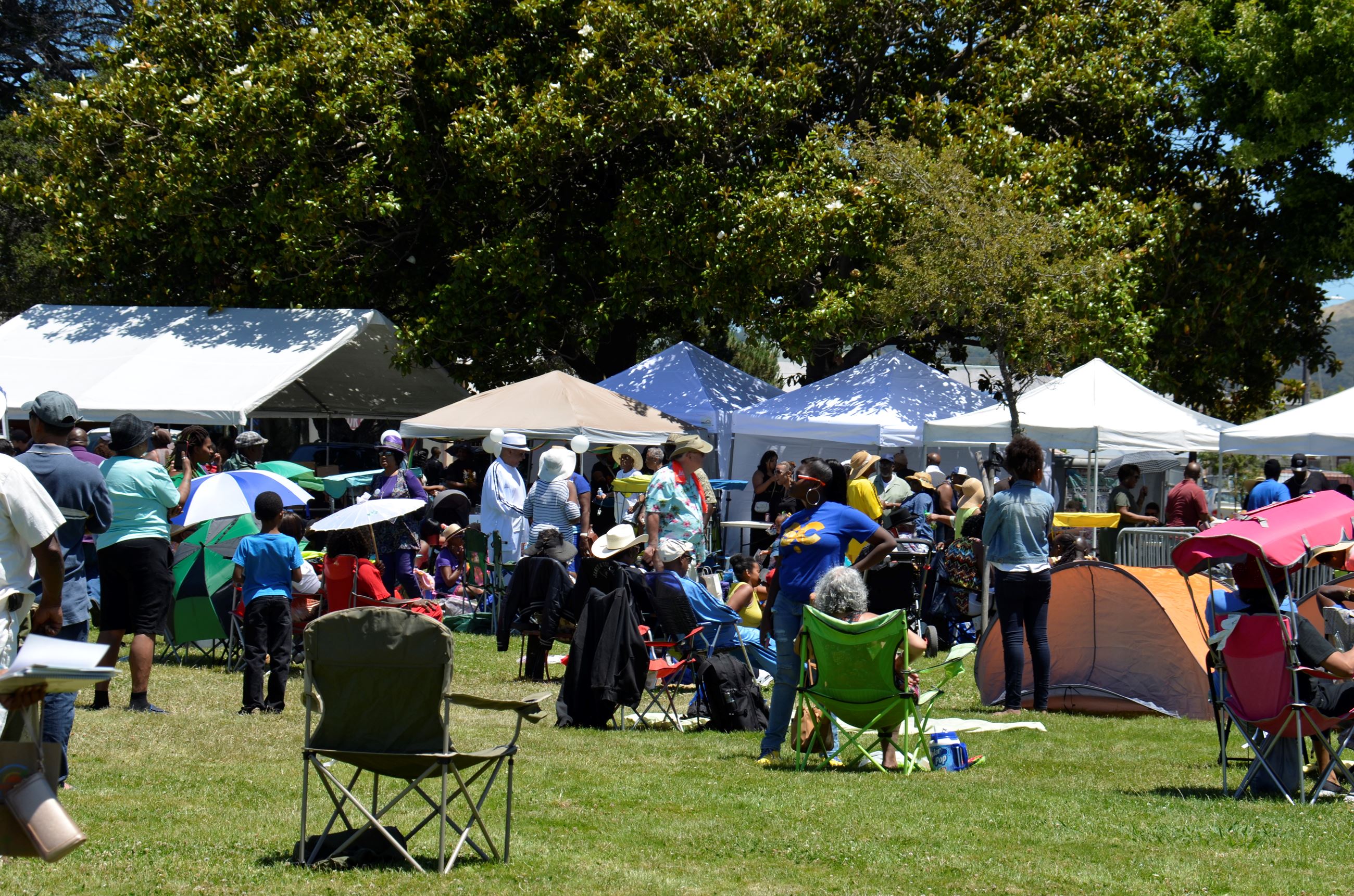 Juneteenth 2017 (77)