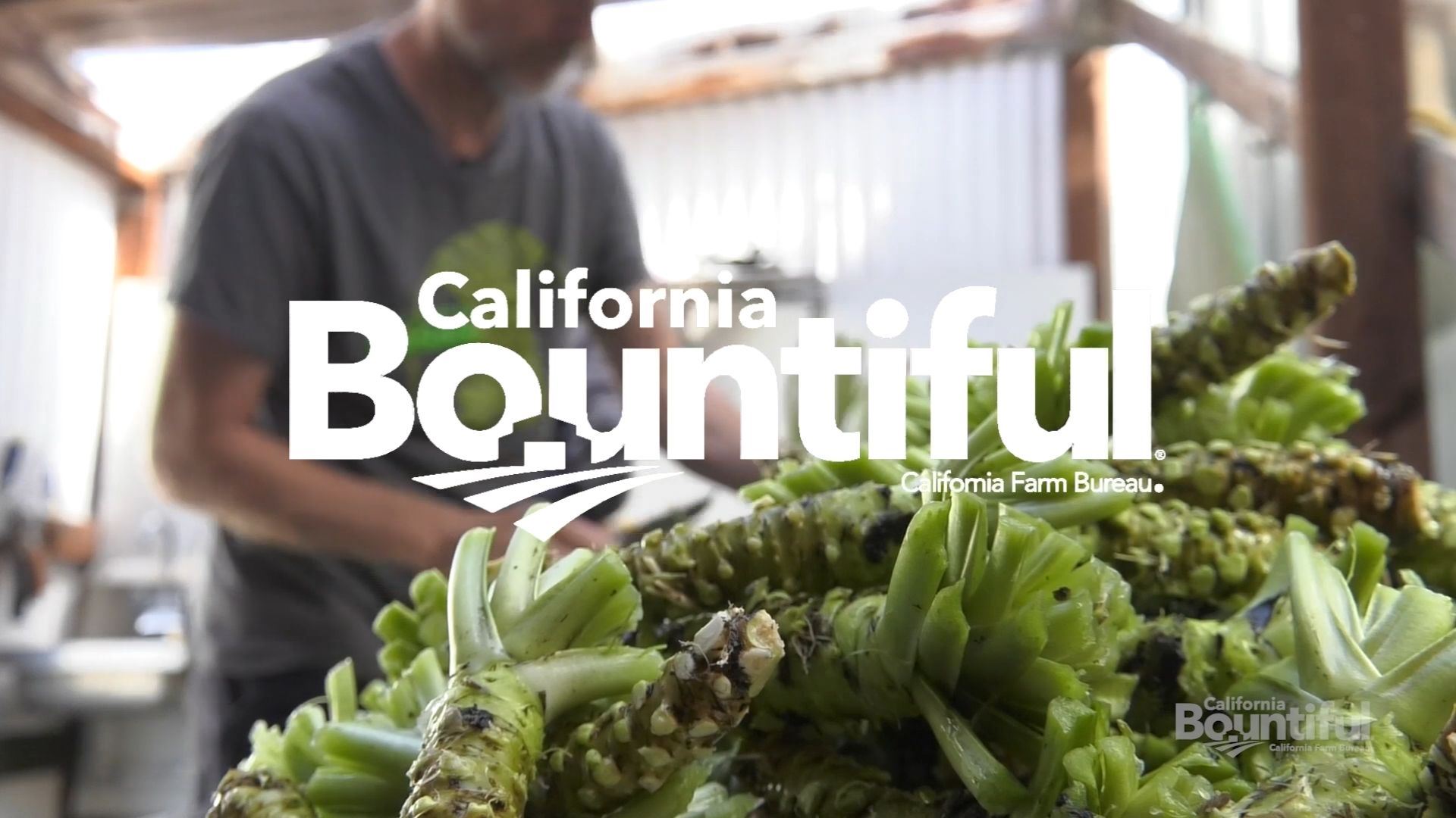 CA Bountiful title card