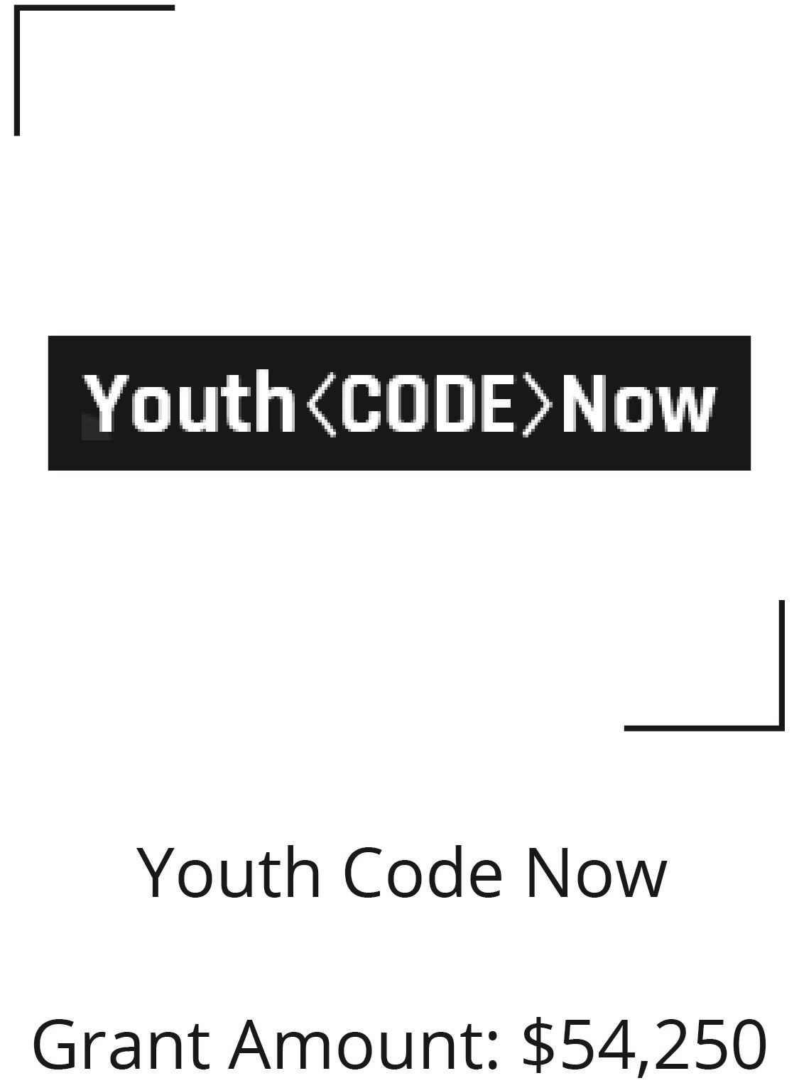 Youth Code Now. Grant Amount $54,250 Opens in new window