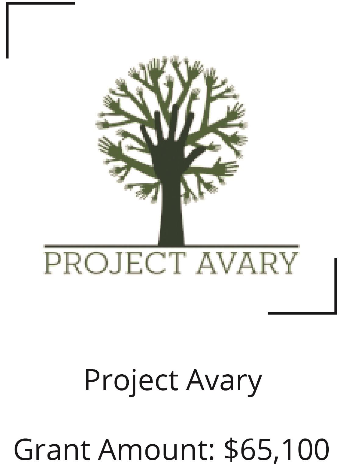 Project Avary. Grant Amount $65,100 Opens in new window