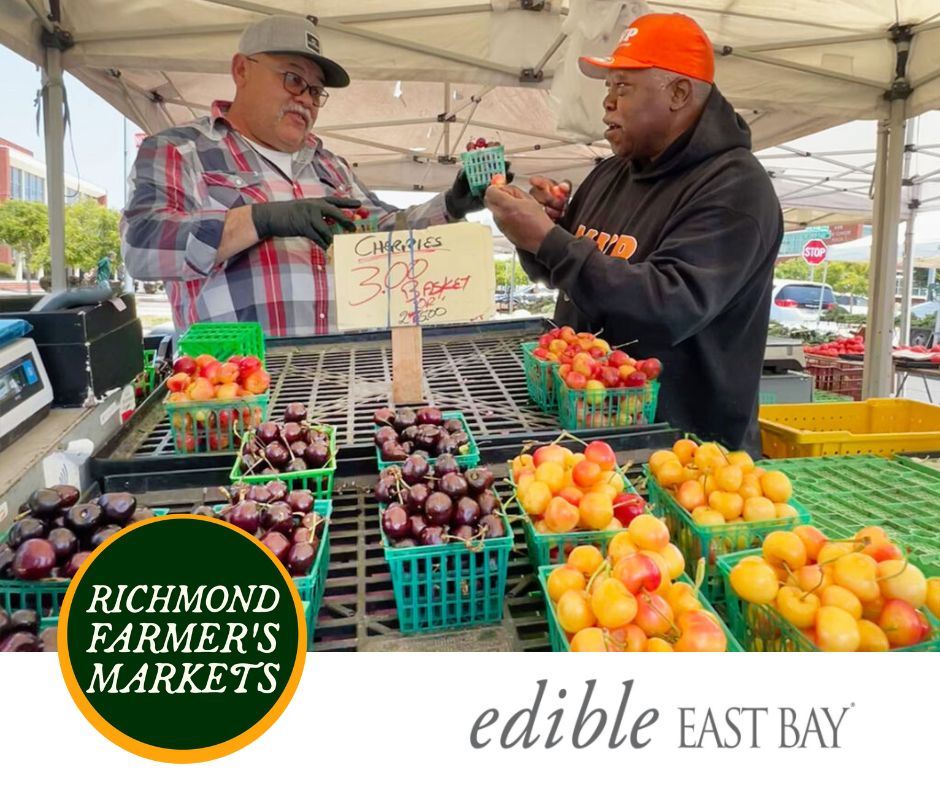 Farmers Market - Feature